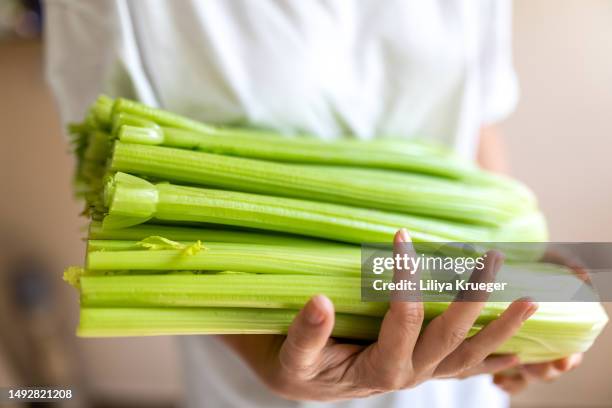 close-up of celery in woman's hands. - selderij stockfoto's en -beelden