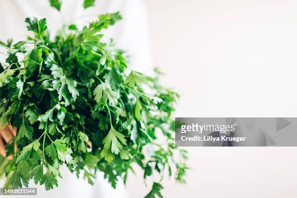 close-up of parsley in woman's hands. - smoothie close up textfreiraum stock-fotos und bilder