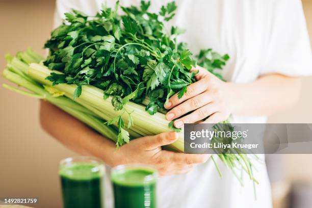 fresh green vegetable juice. - celery stock pictures, royalty-free photos & images