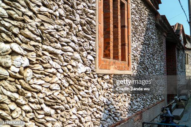 Windowpane Oyster Photos and Premium High Res Pictures - Getty Images