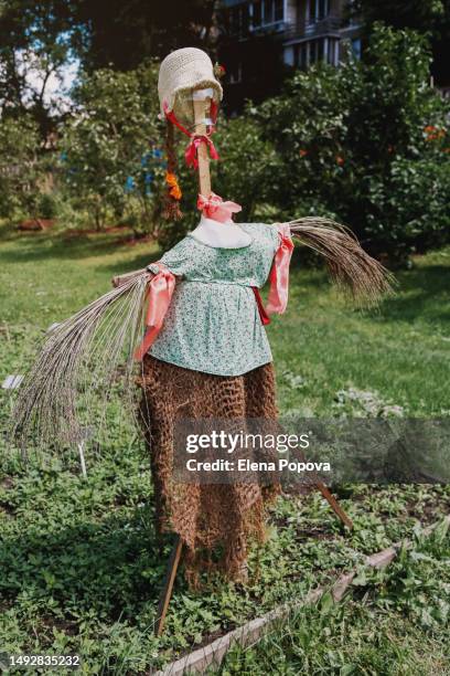 scarecrow protecting garden on sunny summer day - scarecrow faces stockfoto's en -beelden
