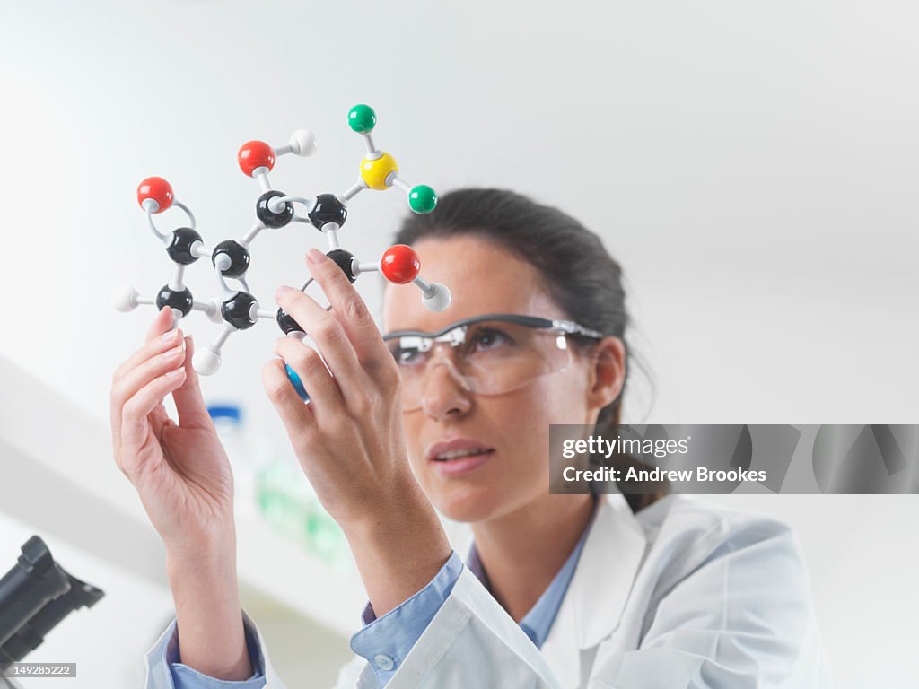 Scientist examining molecular model