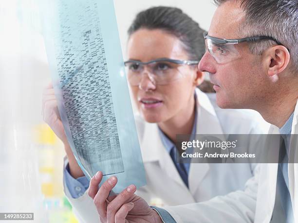 scientists examining dna print out - polymer sequencing stock pictures, royalty-free photos & images