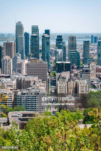 views over montreal from mount royal - montreal clock tower stock pictures, royalty-free photos & images