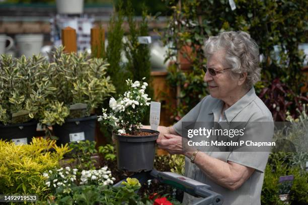 senior woman looking at and buying flowering plants at garden centre - plant nursery stock pictures, royalty-free photos & images