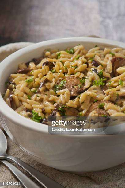 creamy mushroom orzo - risotto stock pictures, royalty-free photos & images