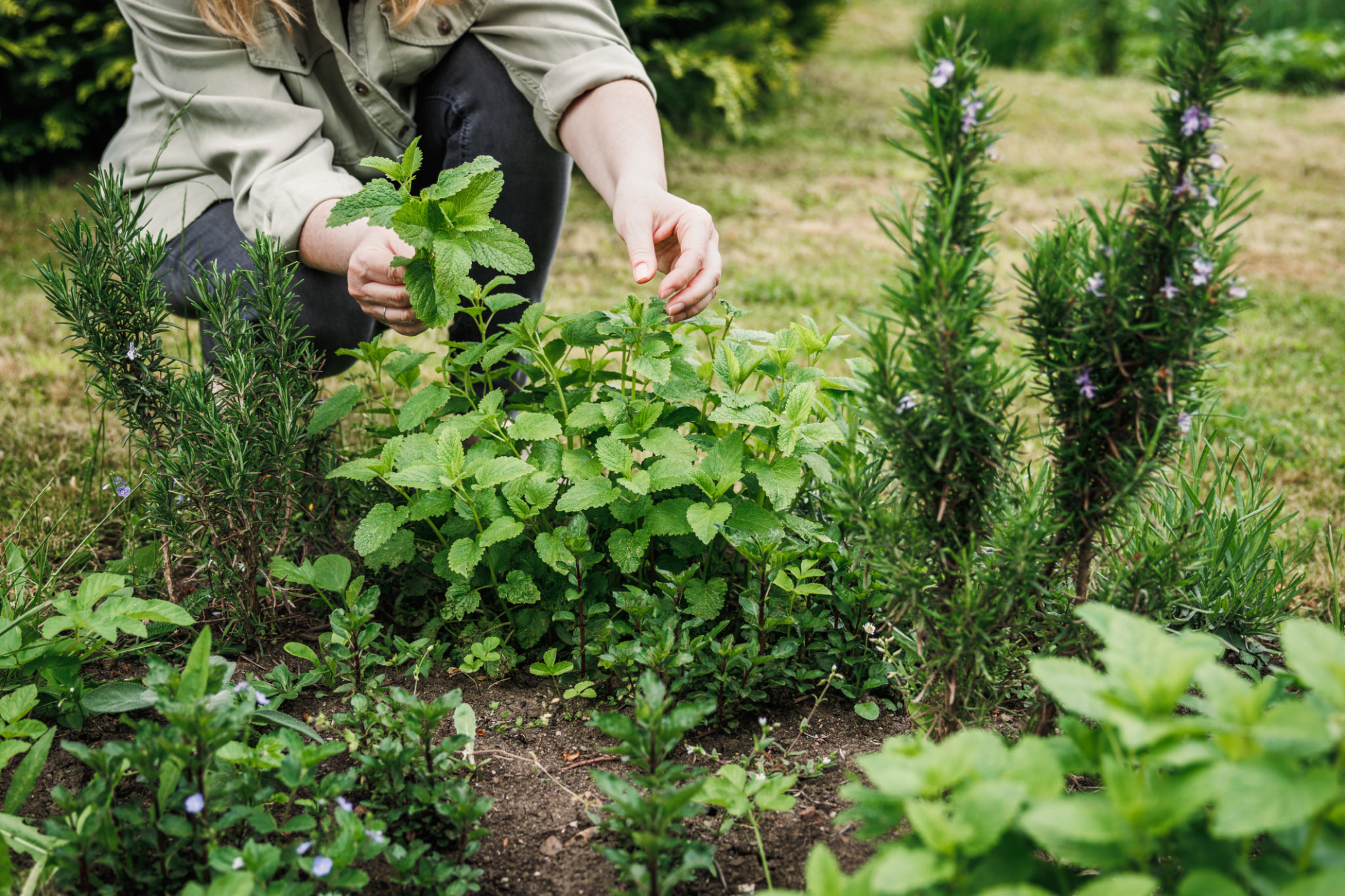 garden therapy
