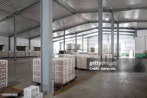 Warehouse Shell 323 Shell Warehouse Stock Photos, High-Res Pictures, and Images - Getty ...