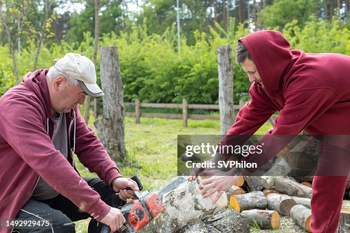 Men sawing logs for firewood in the countryside.