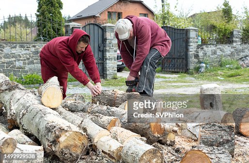 Men sawing logs for firewood in the countryside.
