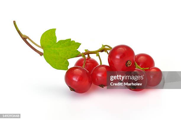 bunch of ripe red currants on their stalk with a green leaf - rode bes stockfoto's en -beelden