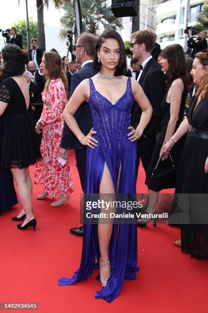Shanina Shaik attends the "La Passion De Dodin Bouffant" red carpet during the 76th annual Cannes film festival at Palais des Festivals on May 24,...