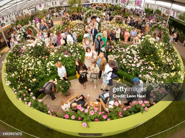 Visitors view the roses on the David Austin display stand at the Chelsea Flower Show on May 24, 2023 in London, England. Running from 22 to 27 May,...