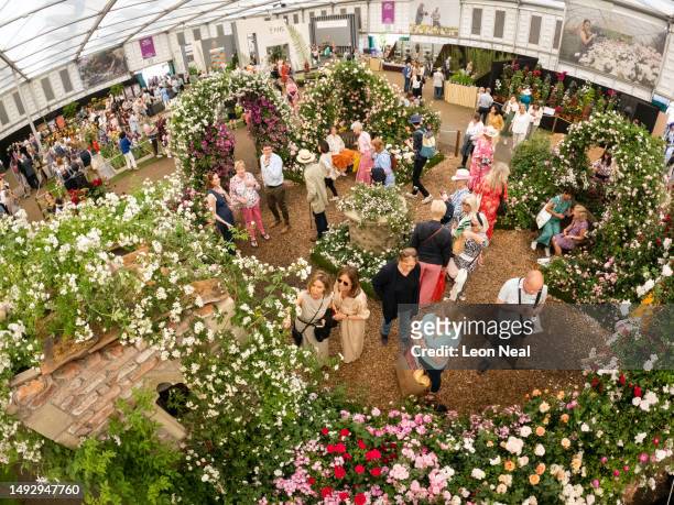 Visitors view the roses on the Peter Beales display at the Chelsea Flower Show on May 24, 2023 in London, England. Running from 22 to 27 May, the...