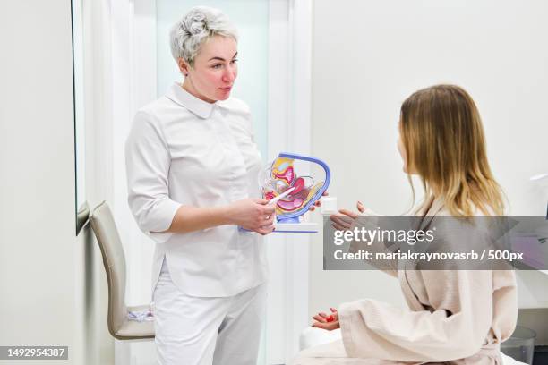 gynecologist doctor consulting patient using uterus anatomy model - cervix fotografías e imágenes de stock