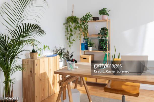 small bright modern home office with large wood table, laptop and business supplies. trendy cozy workplace interior. - wood desk ストックフォトと画像