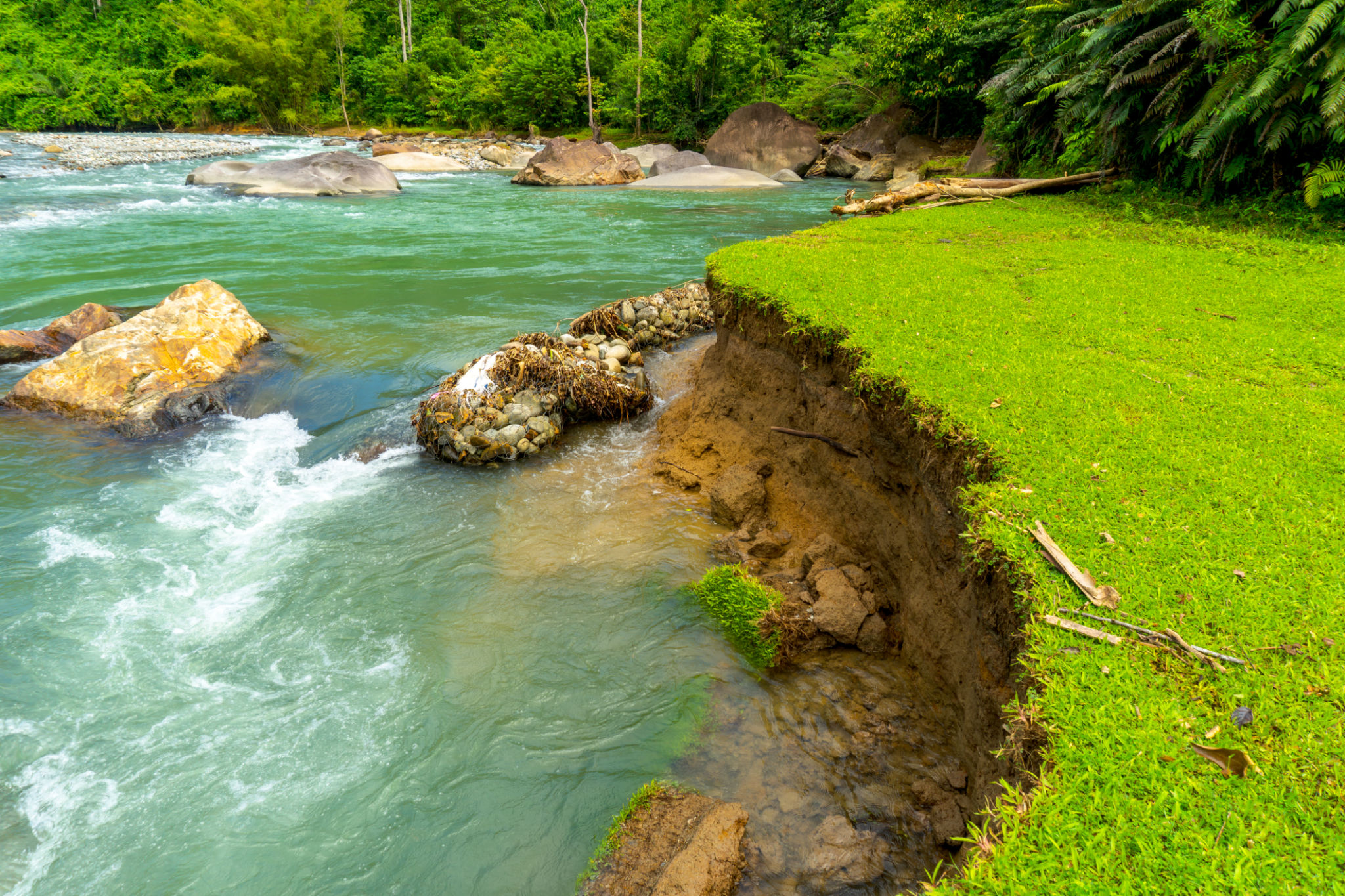 climate change adaptation