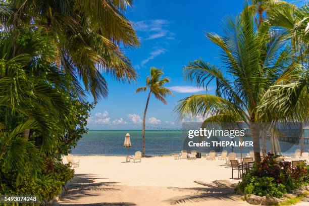 islamorada, florida keys beach scene - islamorada stockfoto's en -beelden