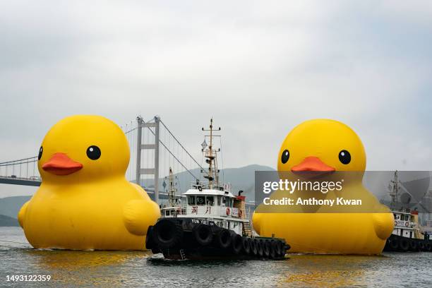 Giant inflatable rubber duck sculptures are seen in Tsing Yi on May 25, 2023 in Hong Kong, China. The 18-metre-tall inflatable sculptures are some of...