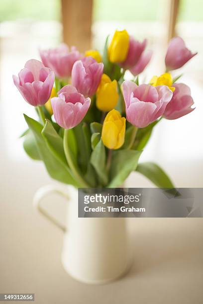 tulips in country kitchen - jug stock pictures, royalty-free photos & images