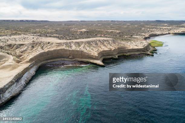 aerial view of patagonian sea cliffs with sea bird colonies and sea lion colonies, valdes peninsula. - chubut province ストックフォトと画像