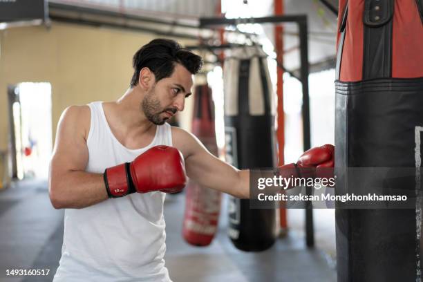 Boxer Build Body Boxer With Arms Raised Photos and Premium High Res Pictures - Getty Images