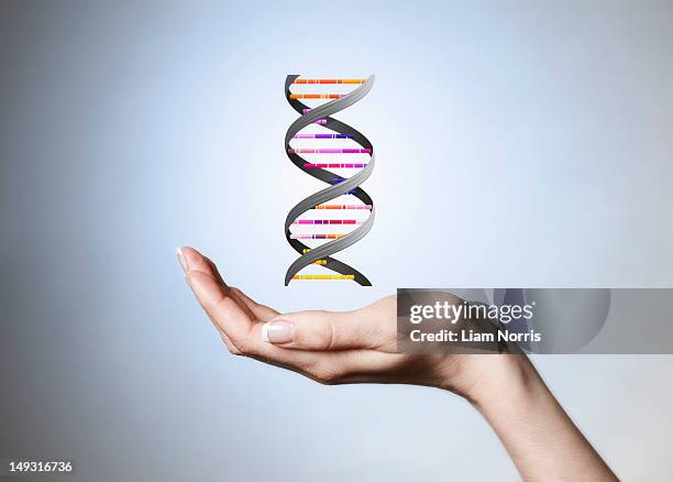 hand holding strain of dna - dna helix stock pictures, royalty-free photos & images