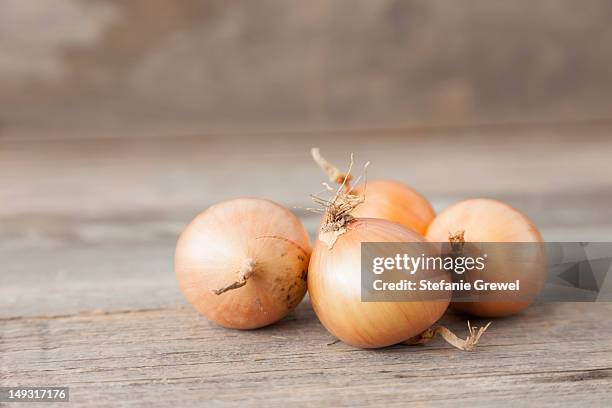 close up of onions on table - zwiebel stock-fotos und bilder