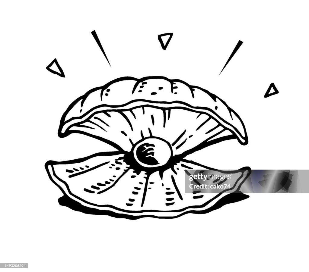 Hand drawn Pearl in shell