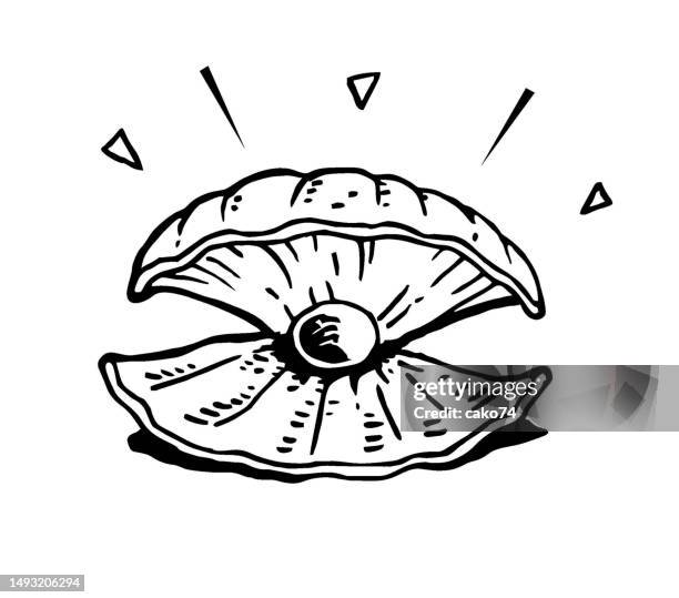 hand drawn pearl in shell - oyster pearl stock illustrations