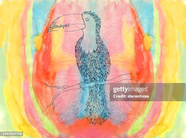 rainbow tucan - morning stretch stock illustrations