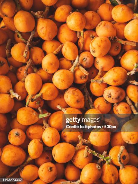 Loquat Gi 963 Loquat Stock Photos, High-Res Pictures, and Images - Getty Images