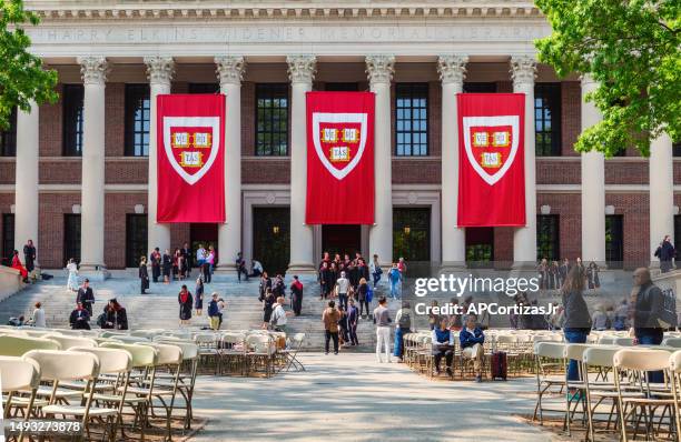 graduates and widener memorial library - harvard yard - harvard university - cambridge massachusetts - harvard stock pictures, royalty-free photos & images