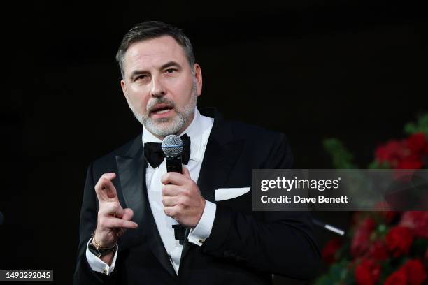 David Walliams attends the 2023 DKMS Gala, in aid of the fight against blood cancer at Natural History Museum on May 25, 2023 in London, England.