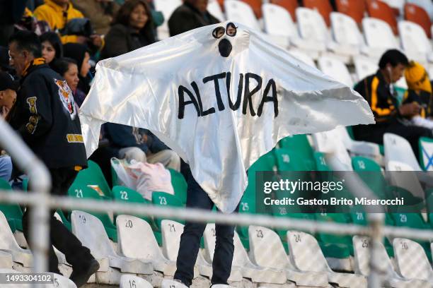 Fan of The Strongest wears a white cloth depicting a ghost and the word altitude in spanish during the Copa CONMEBOL Libertadores 2023 group D match...