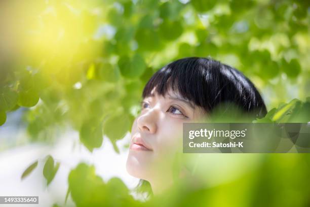 portrait of woman under the tree, surrounded by green leaves - looking up - emerald city stock pictures, royalty-free photos & images