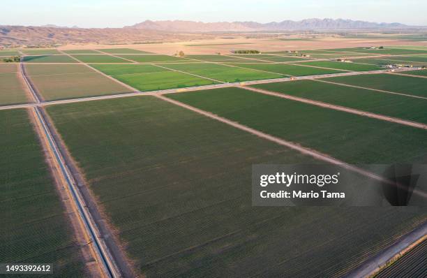 An aerial view of farmland which is irrigated by the water from the nearby Colorado River on May 25, 2023 near Yuma, Arizona. States along the...
