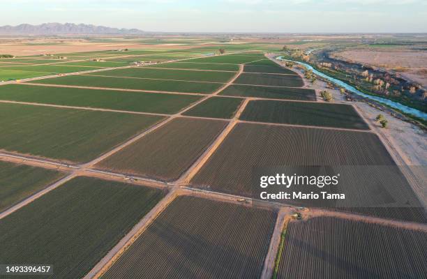 An aerial view of farmland which is irrigated by the water from the long-depleted Colorado River on May 25, 2023 near Yuma, Arizona. States along the...