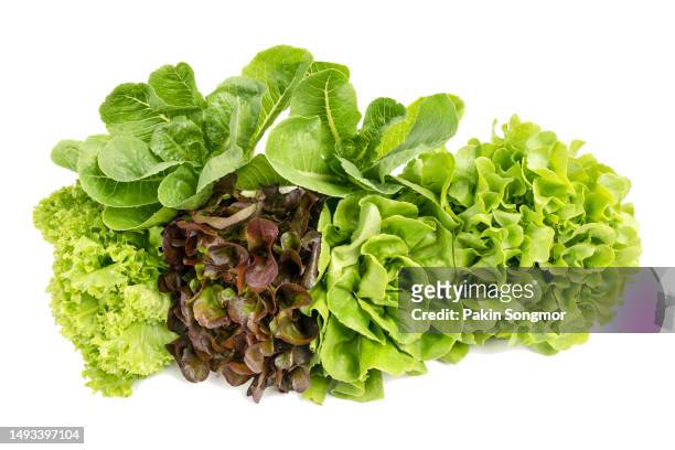 lettuce isolated on a white background, clipping path, the concept of organic vegan food has a background. - feuille de salade fond blanc photos et images de collection