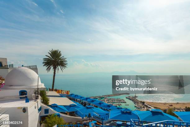 sidi bou said  - tunisian foto e immagini stock