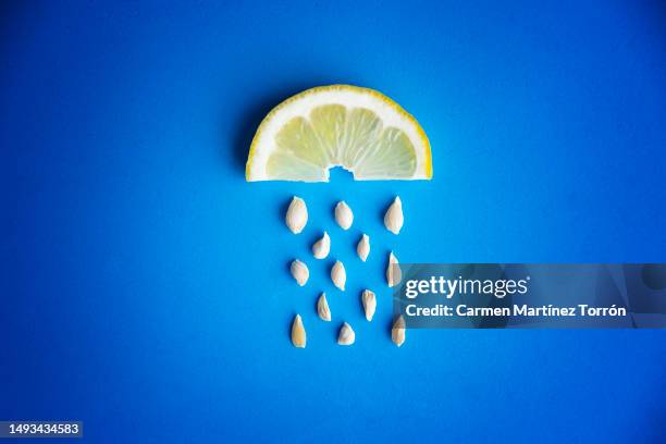 lemon slice with seeds against blue background. - seeded stock pictures, royalty-free photos & images