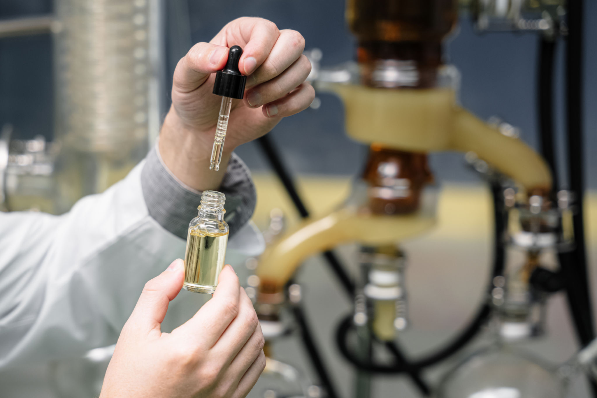 dmt extraction process