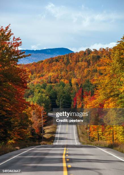 autumn road in maine - middle of the road stock pictures, royalty-free photos & images