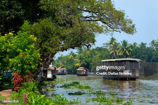 houseboats on the kerala backwater around alleppey, kerala, india - backwater stock pictures, royalty-free photos & images