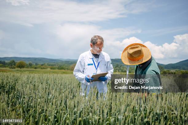 Status Icon Check Photos and Premium High Res Pictures - Getty Images