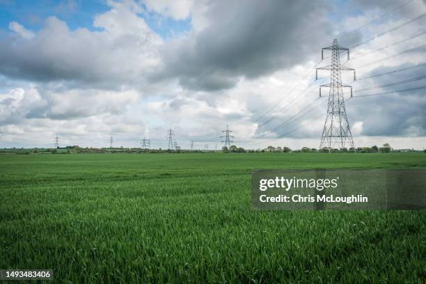 pylons over a field of crops - electricity stock pictures, royalty-free photos & images