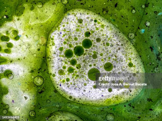 full frame of green liquid molecules. - amoeba photos et images de collection