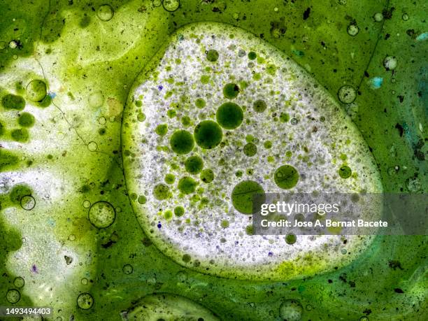 full frame of green liquid molecules. - protozoa stockfoto's en -beelden