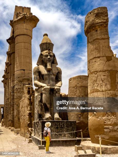 a female tourist contemplating the statues in the luxor temple, egypt. - temple of luxor stock pictures, royalty-free photos & images