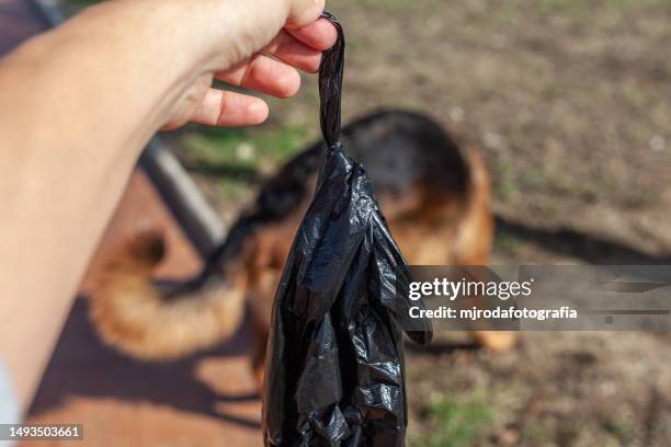 pick up the poop of our pets - craps stock pictures, royalty-free photos & images